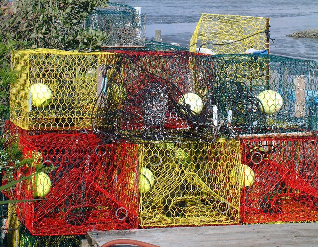 Cedar Key Crab Traps