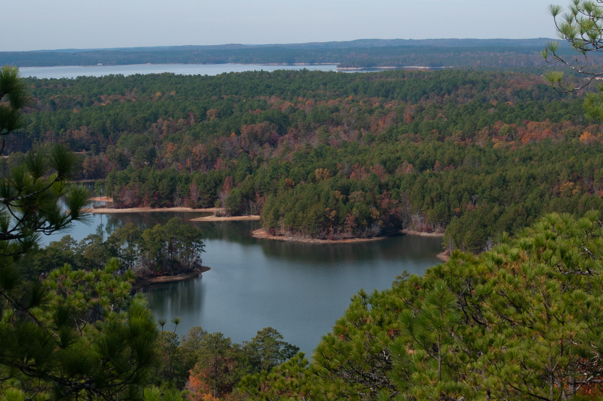 From The Firetower #4