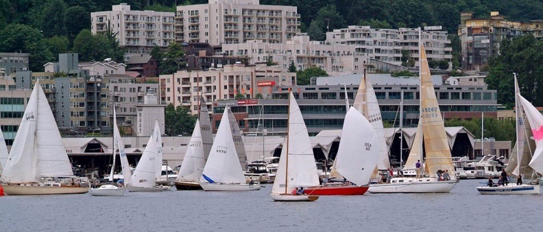Sailboats On Lake Union /Seattle, WA