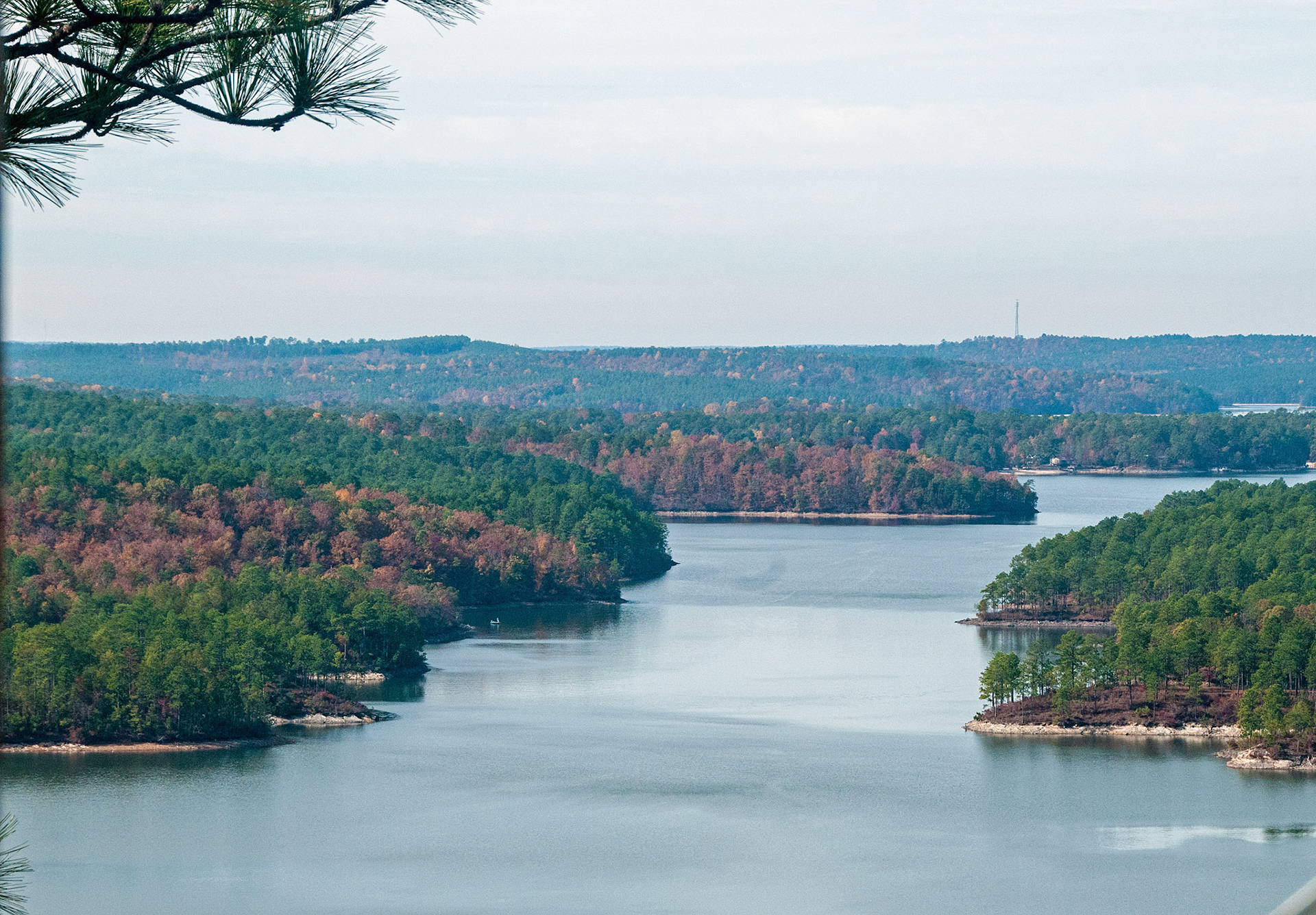 From The Firetower