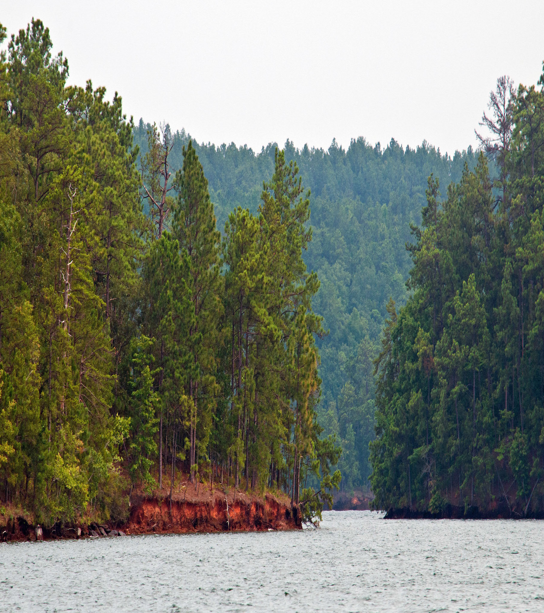 Lake Scene