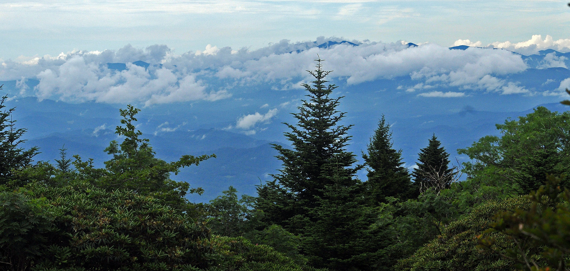 View From Roan Mountain