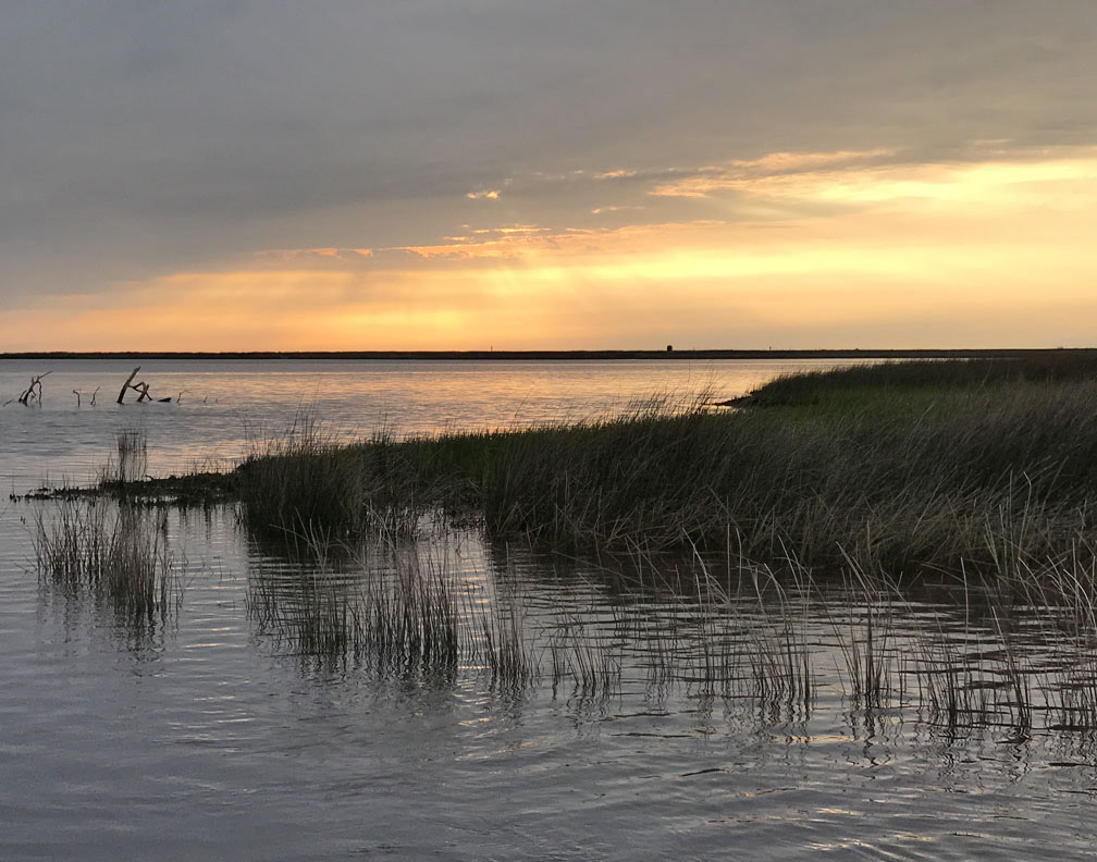 Sunset In Suwannee, FL