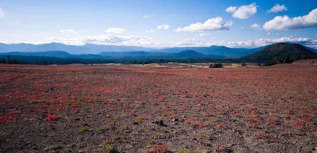 On The Road To Crater Lake
