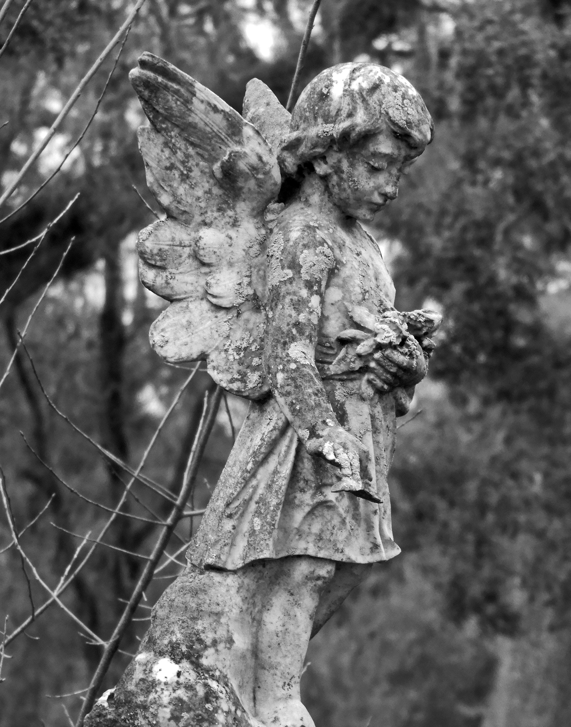 Winged Angel
