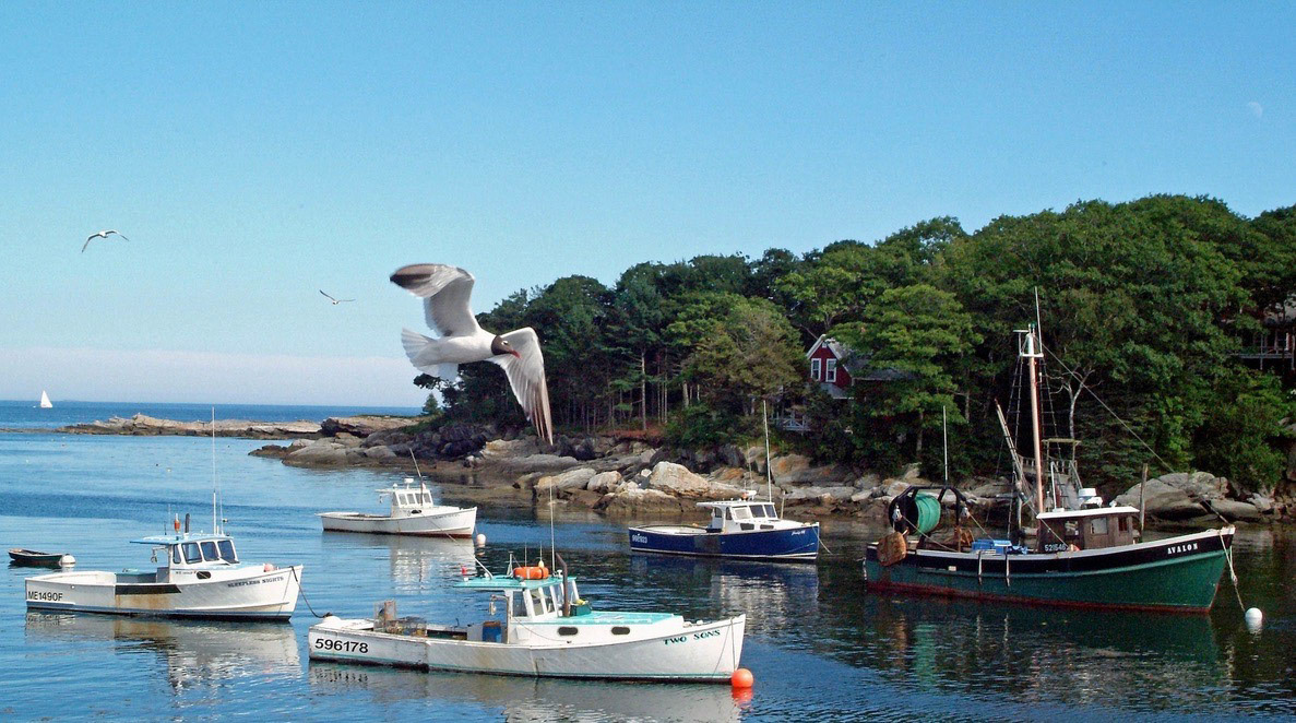 Moored in Boothbay Harbor, Me