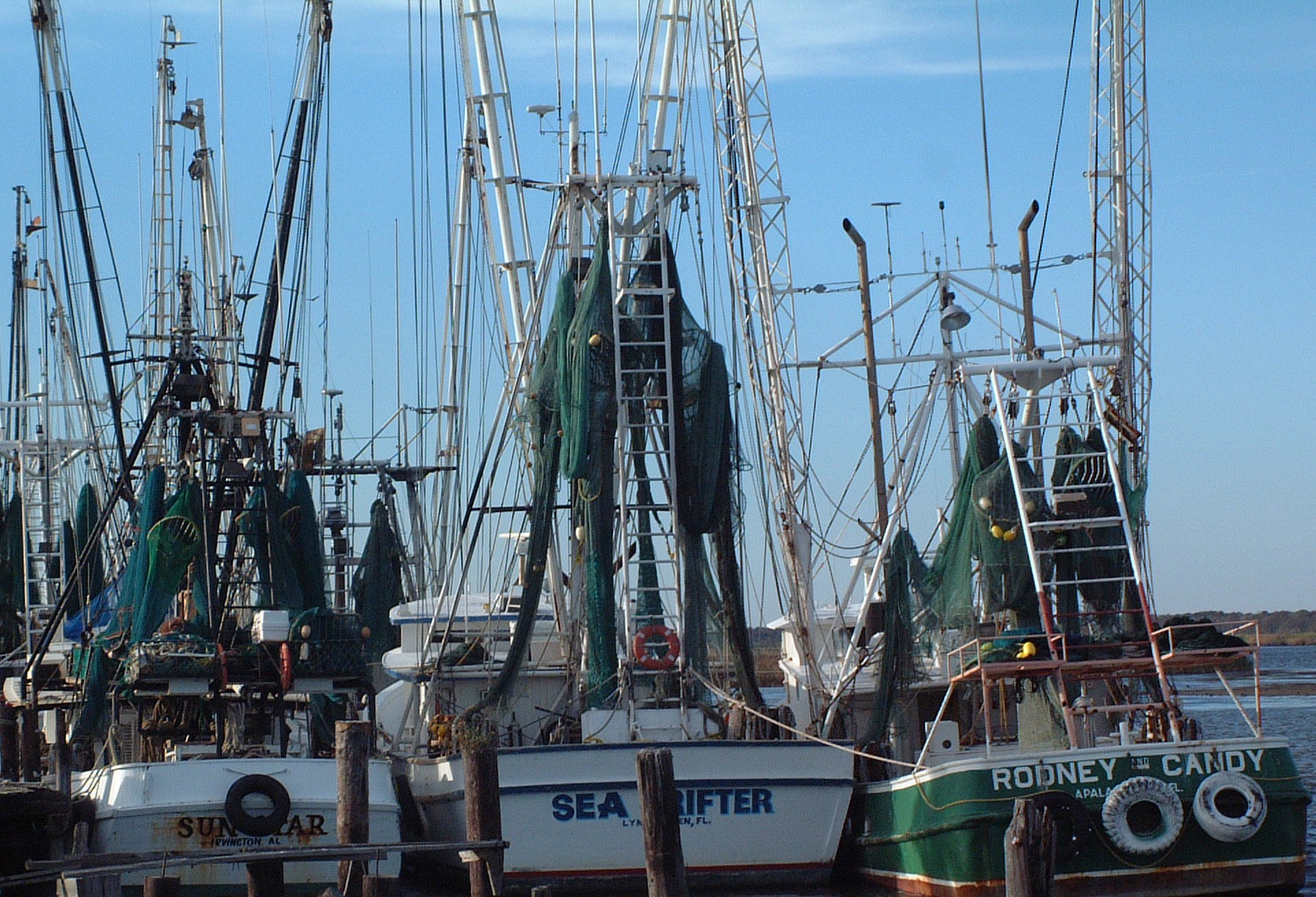Shrimp Boats Moored