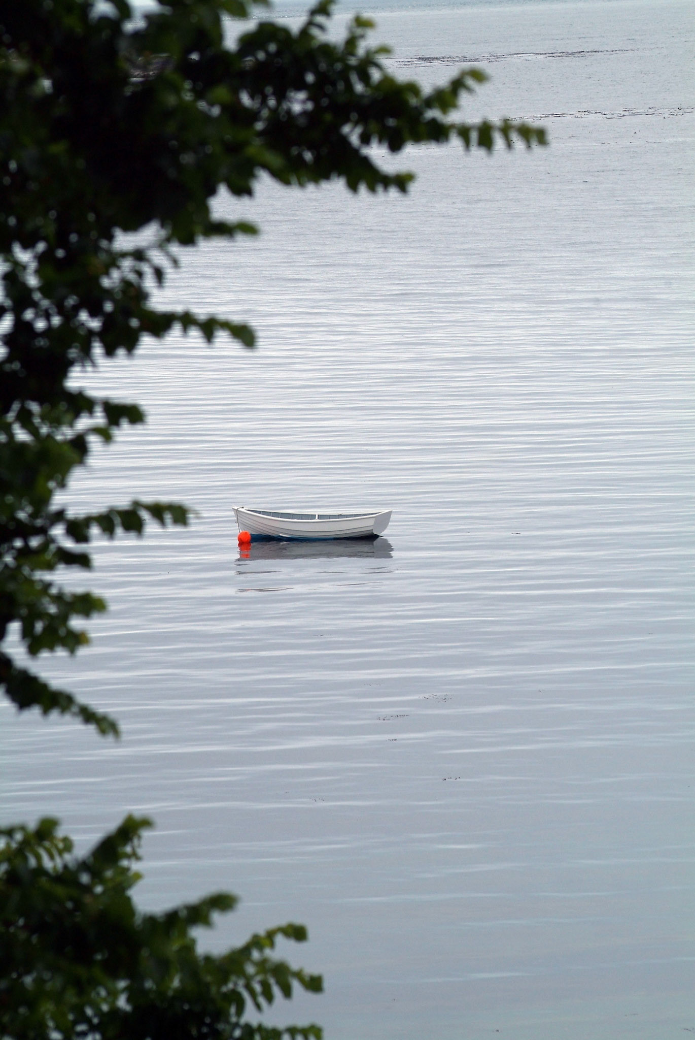 Lonely Boat