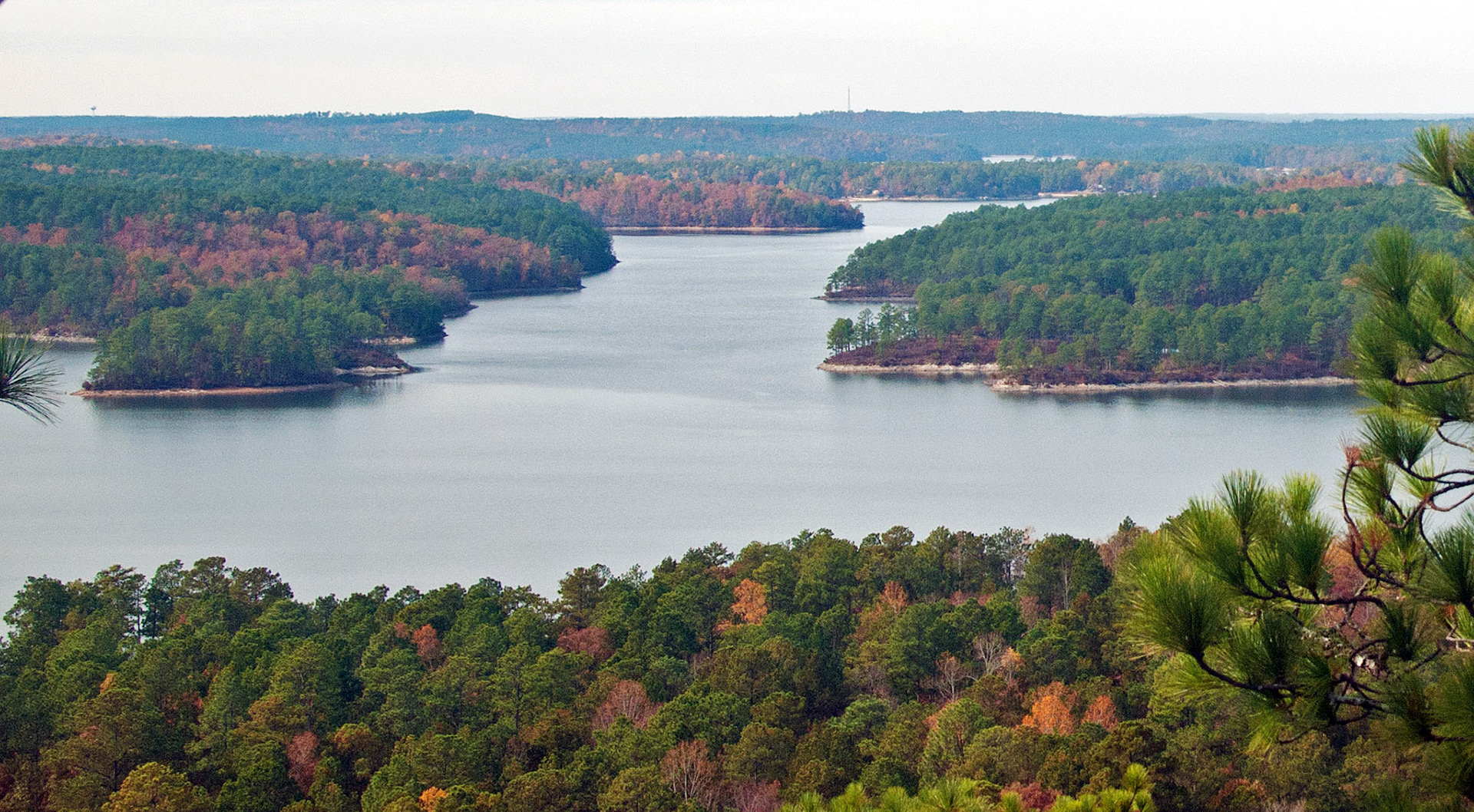 From The Firetower #6