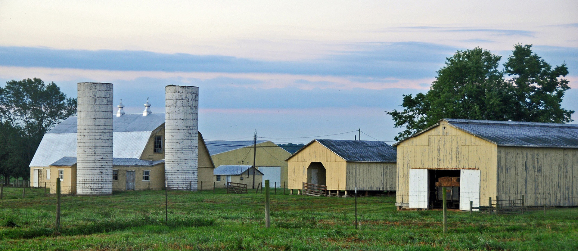 Yellow Barns