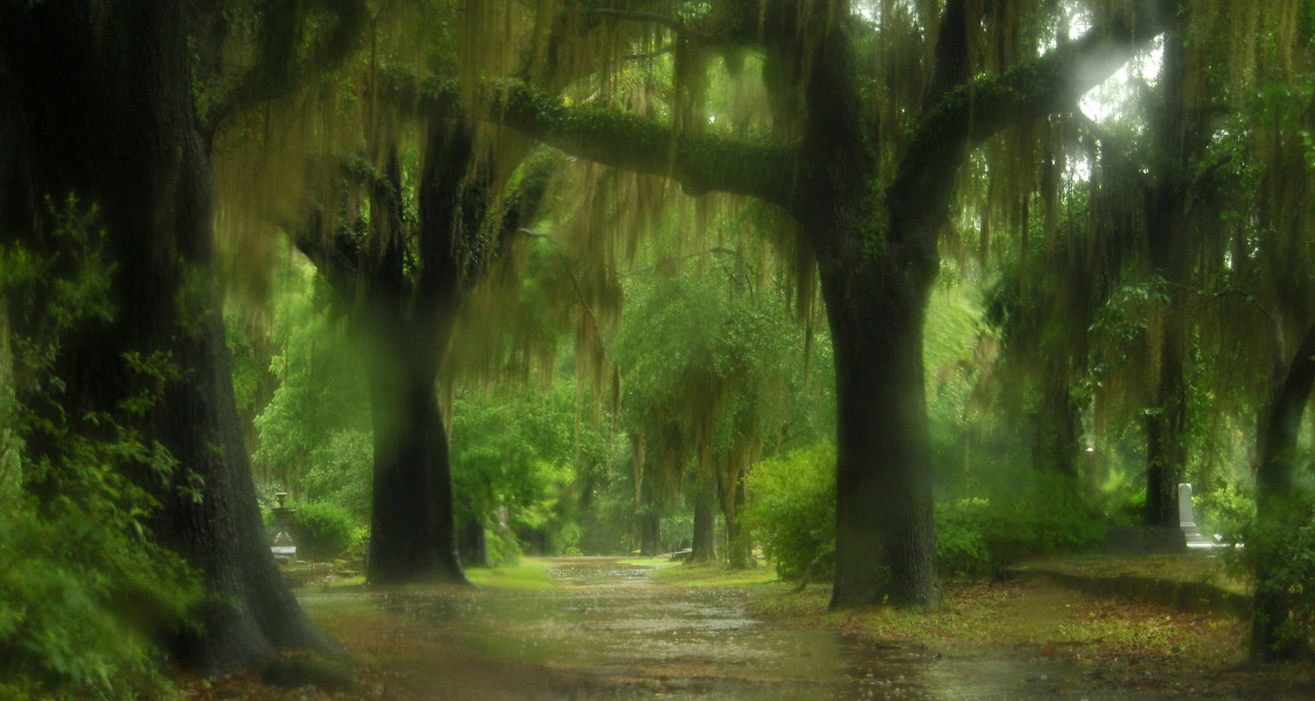 Cemetery Road/Live Oak Cemetery/Selma, AL