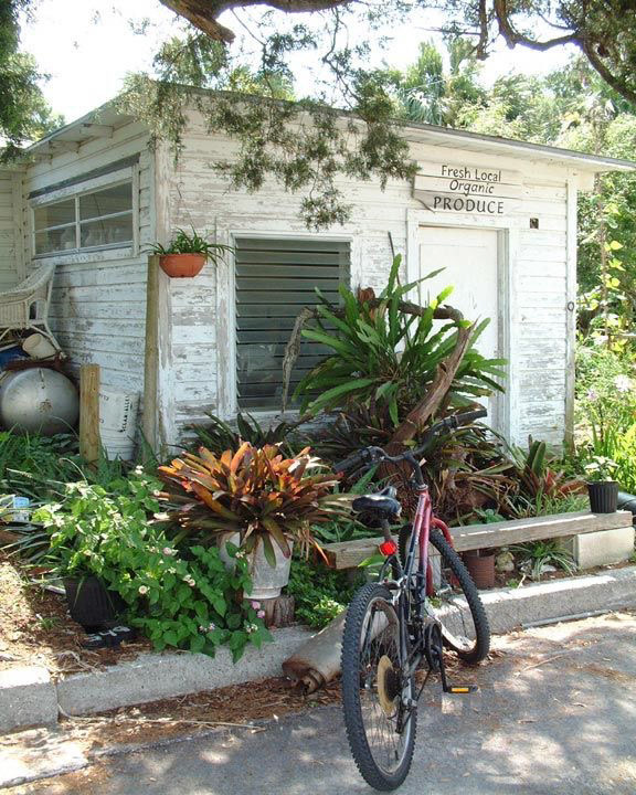 Resting In Cedar Key