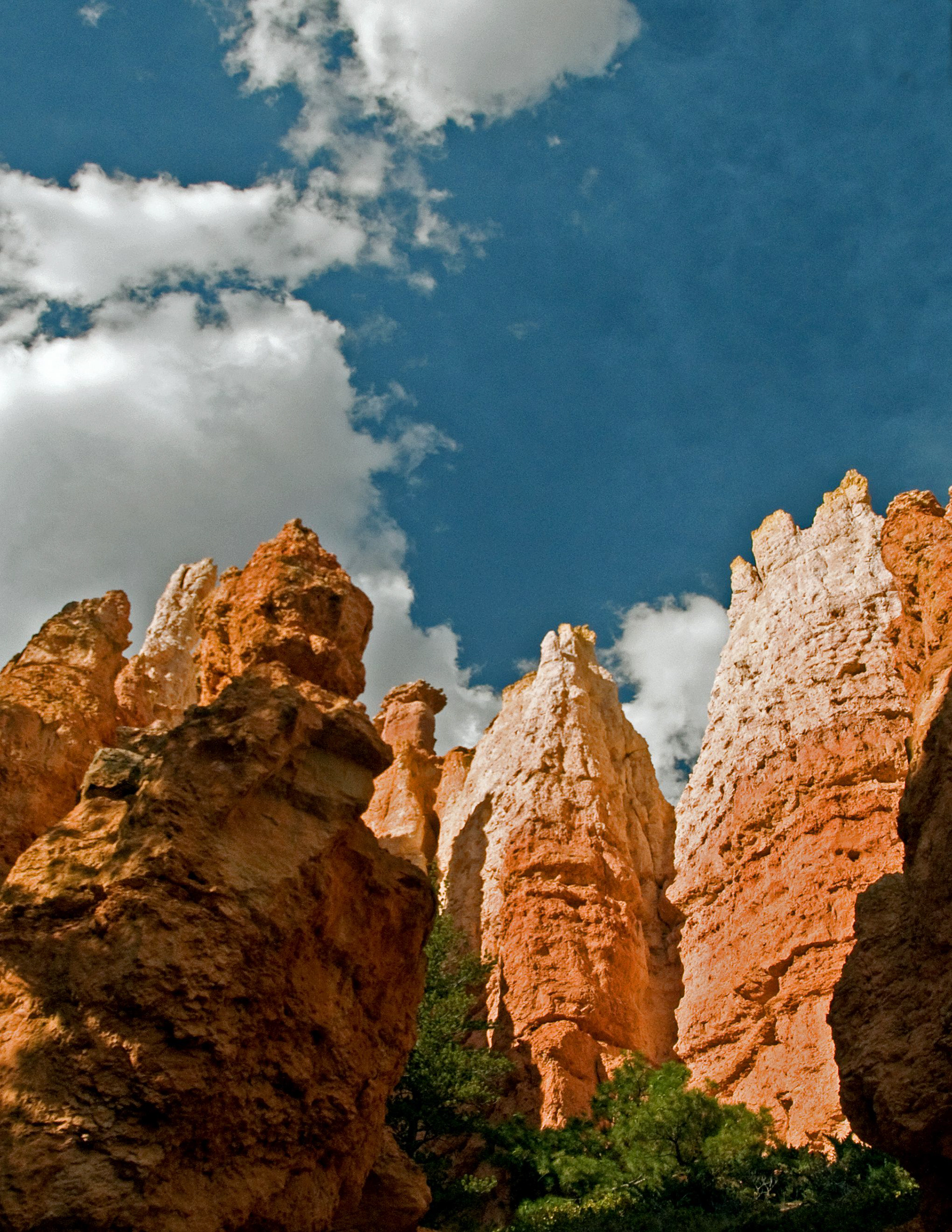 The Hoodoos
