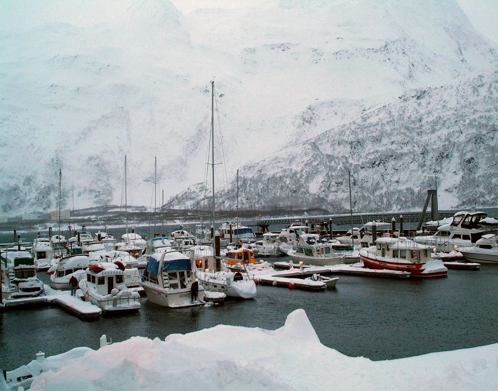 Boats In Whitier, AK