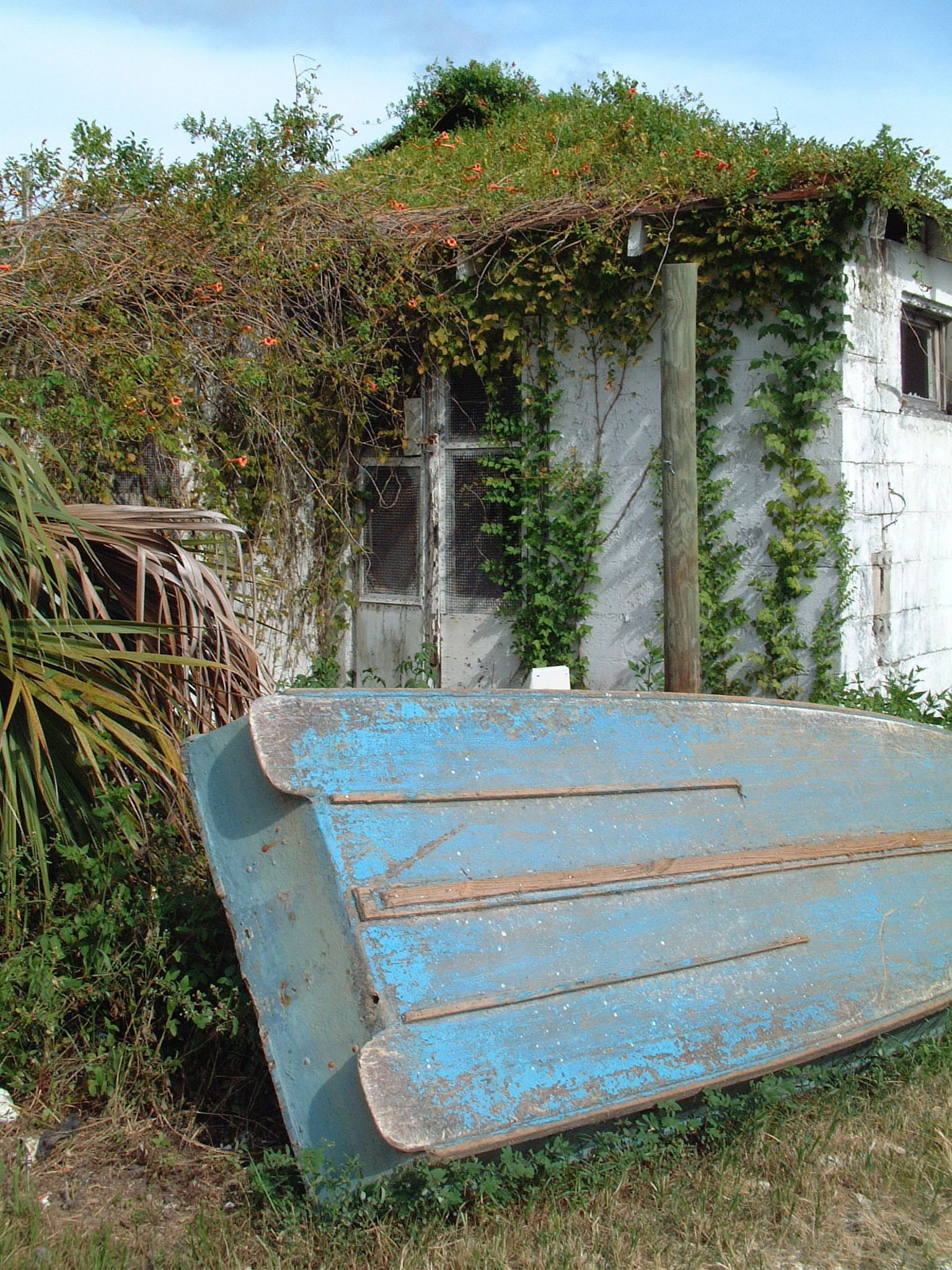 Boat At RestShrimp Boats At Rest