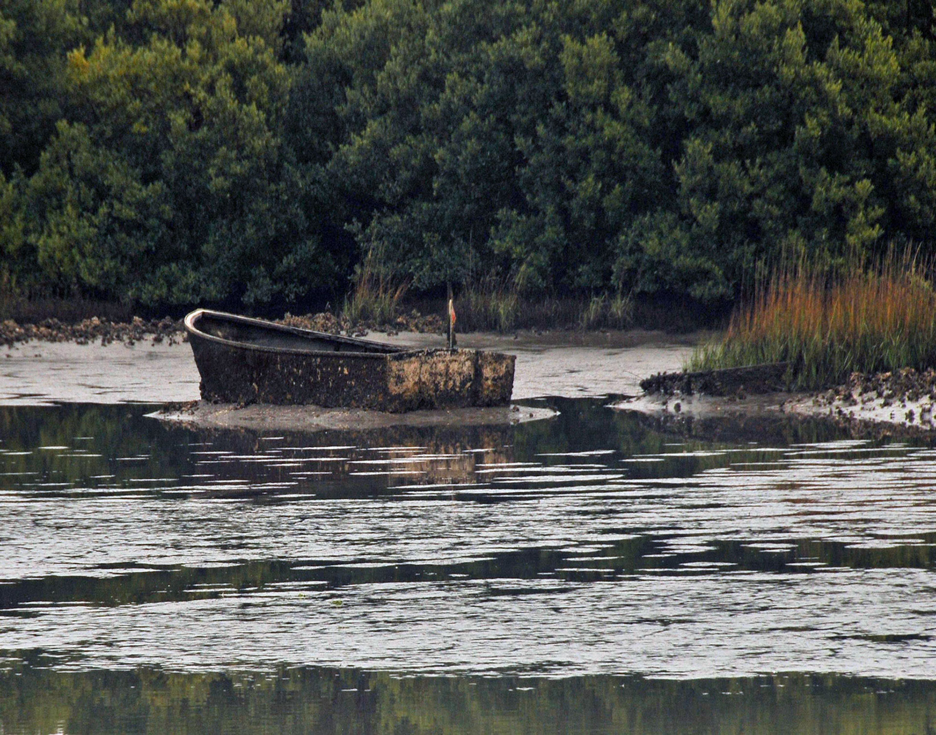 Stranded/Cedar Key, FL