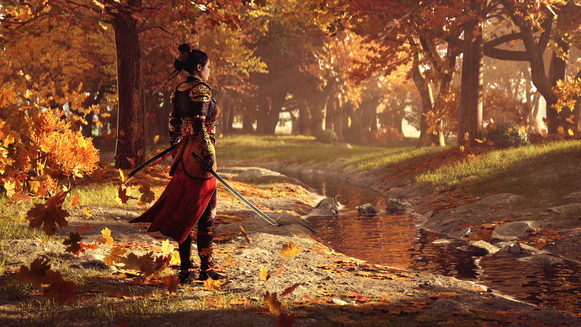 Fall Evenings