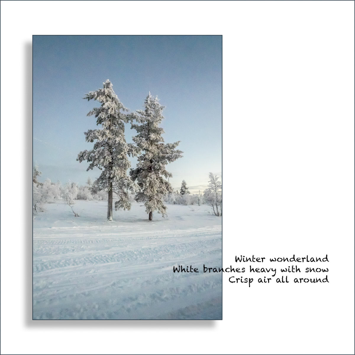 Winter Wonderland