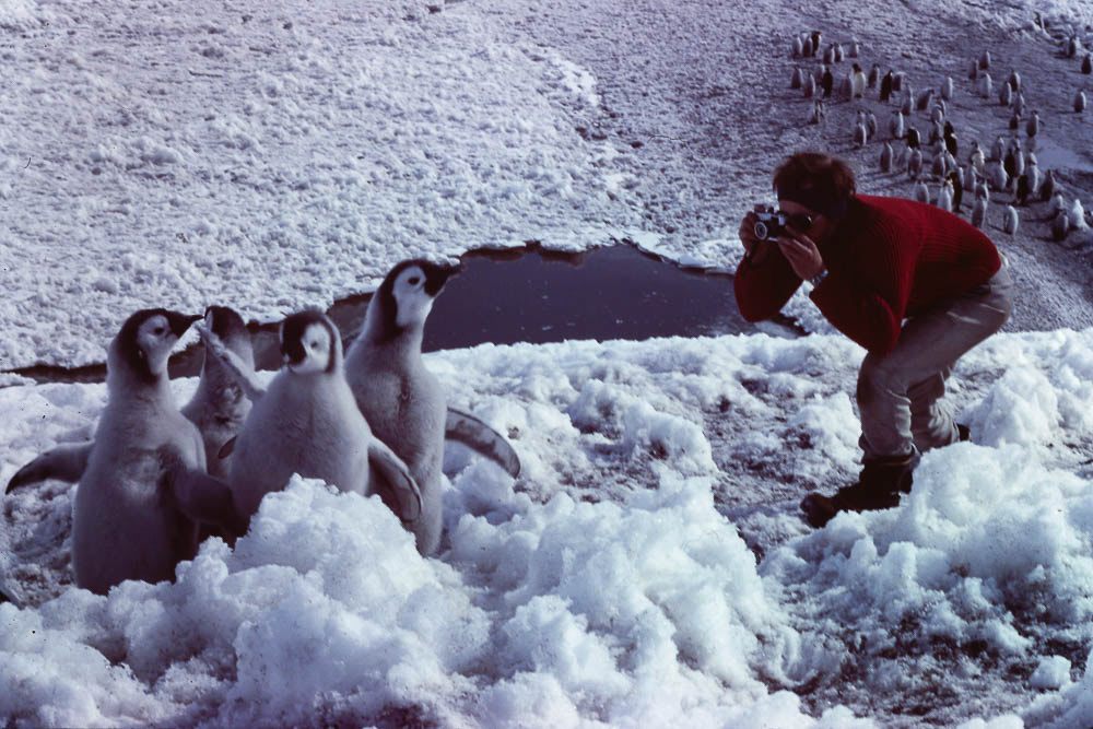 They are getting bigger