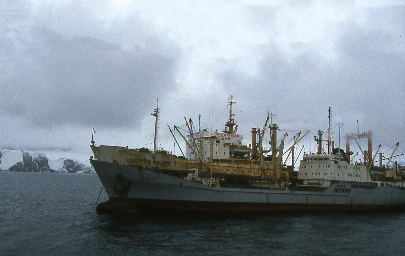 Whalers