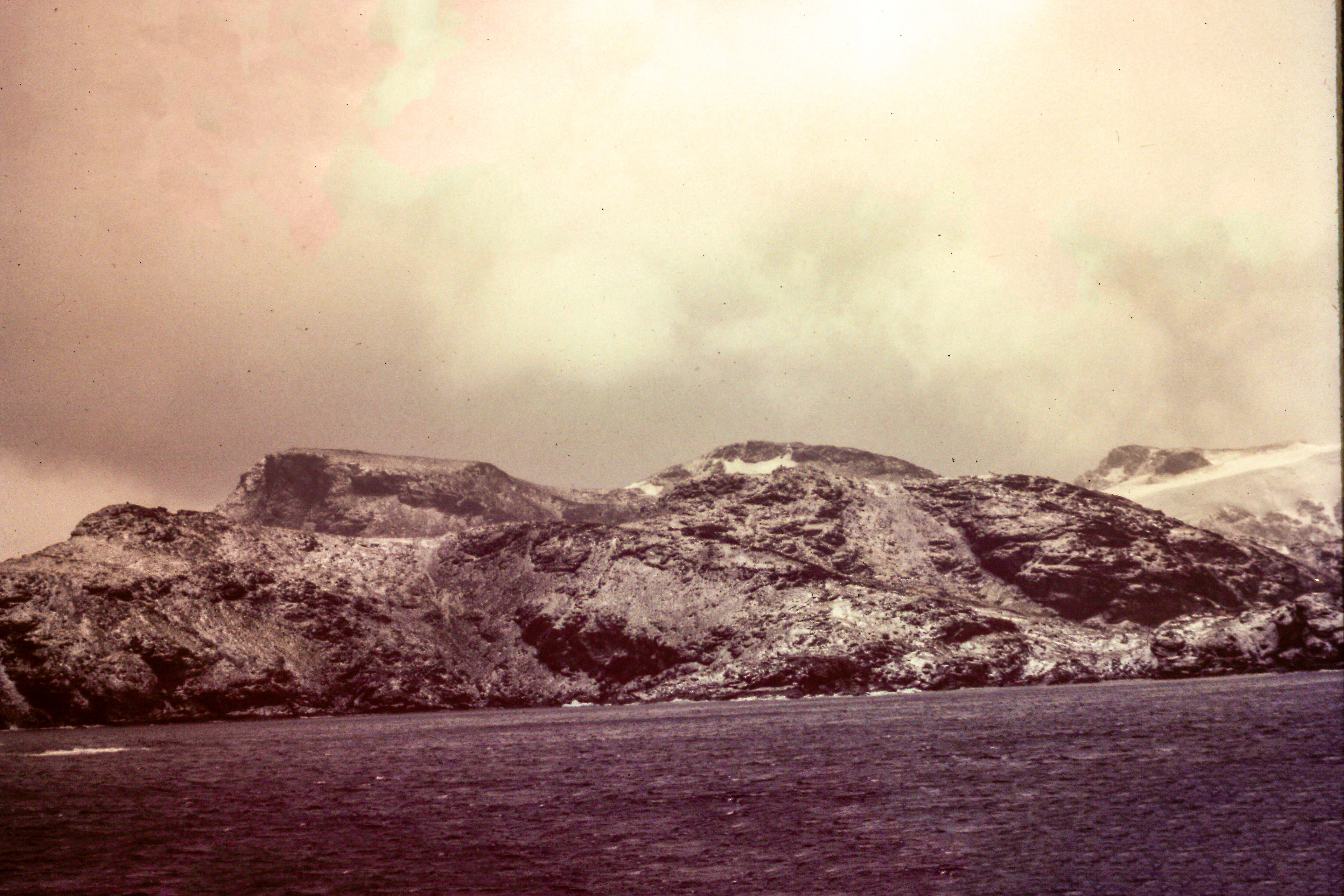 Bird island
