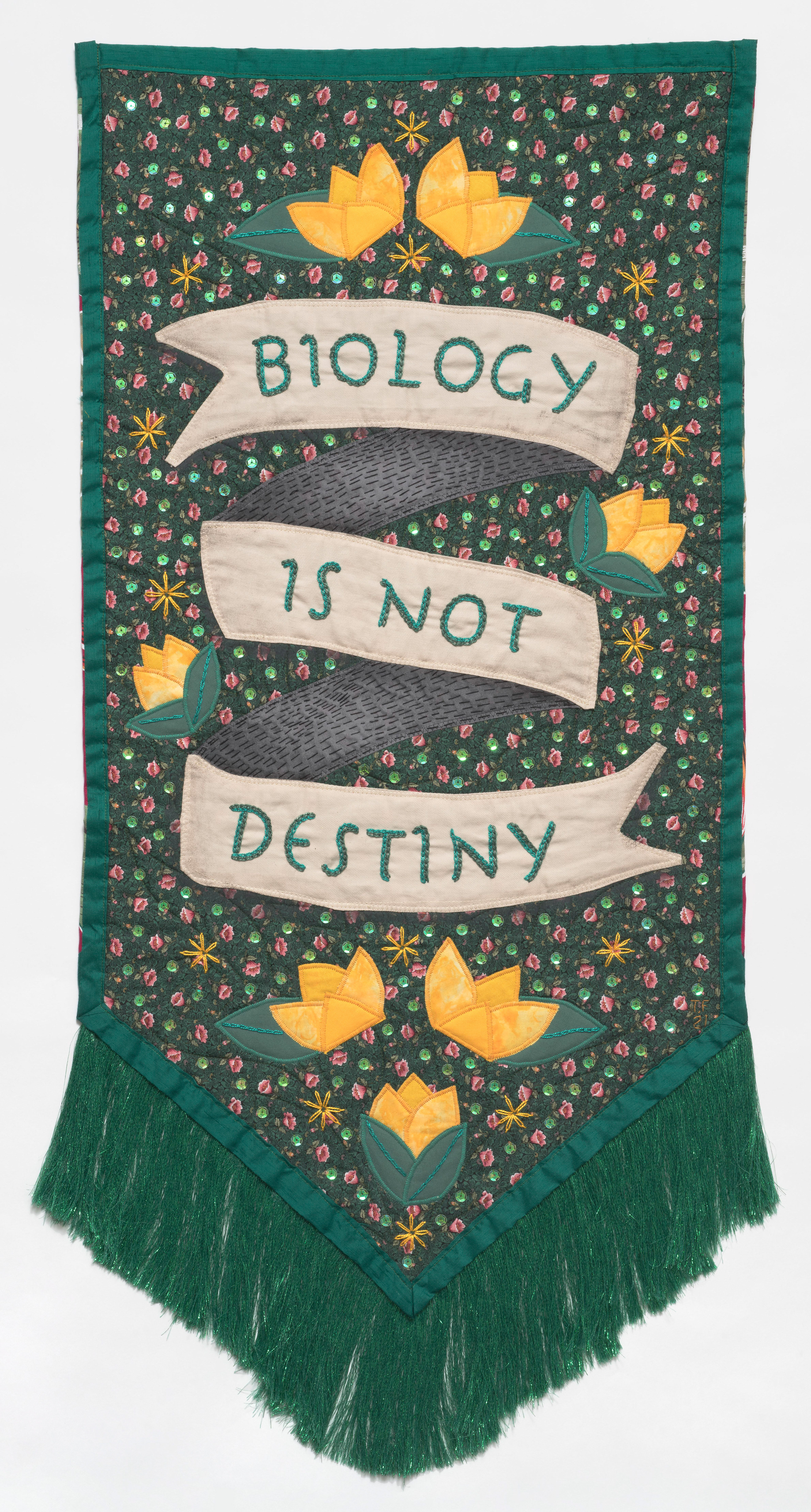 Tal Fitzpatrick 2022 Biology is not Destiny