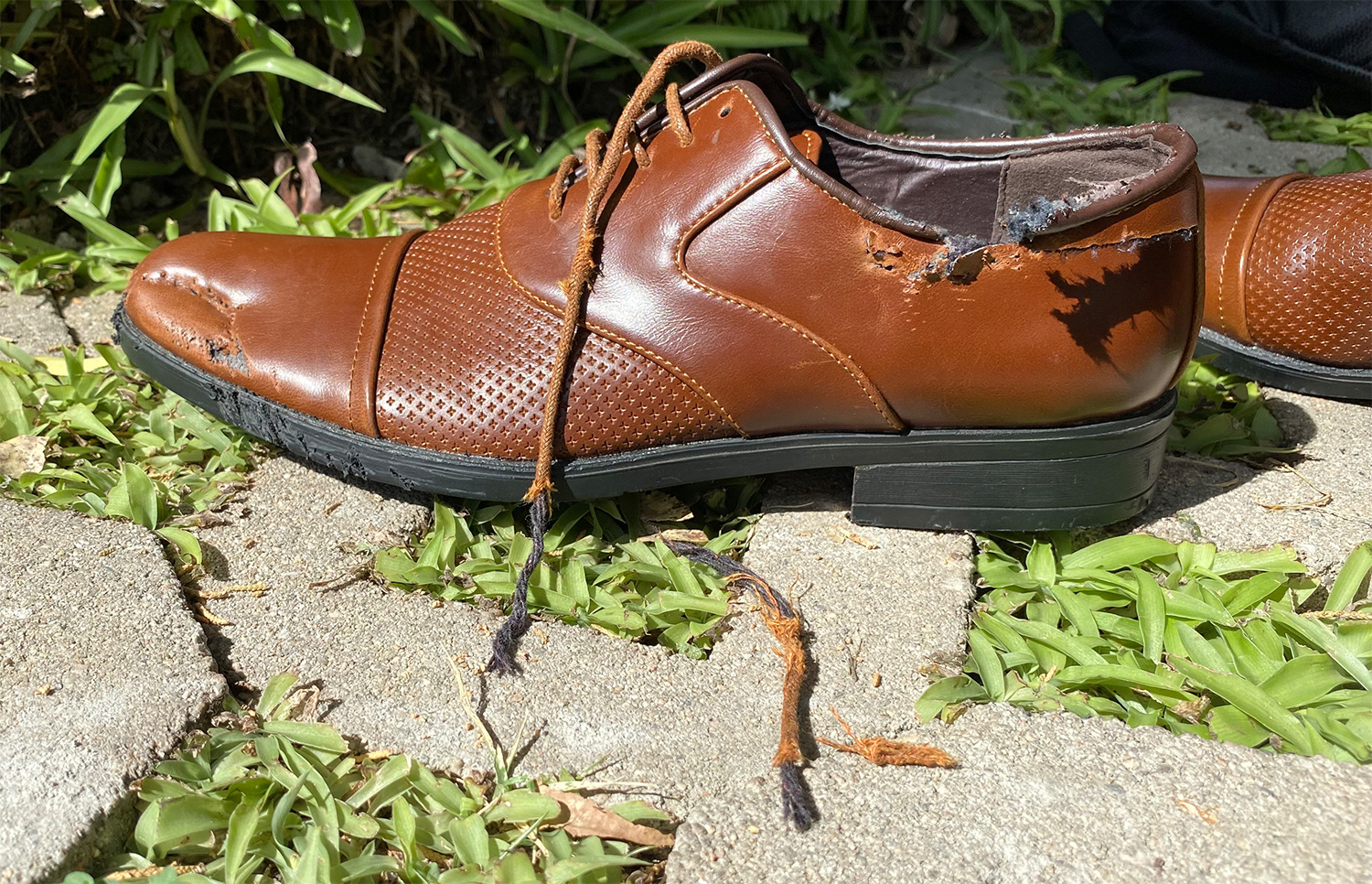 FAKE DOG CHEWED SHOE