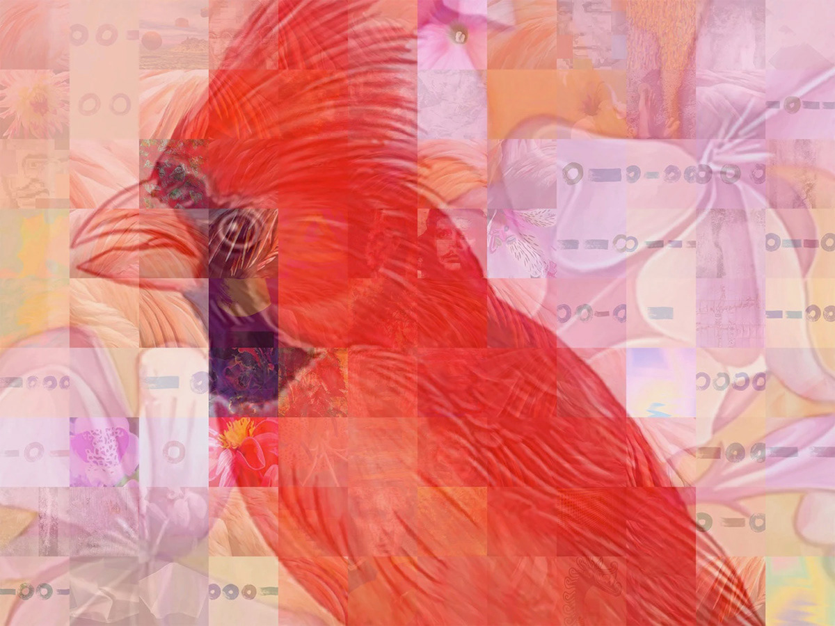 Red Cardinal on Bermuda 1000 dollar currency