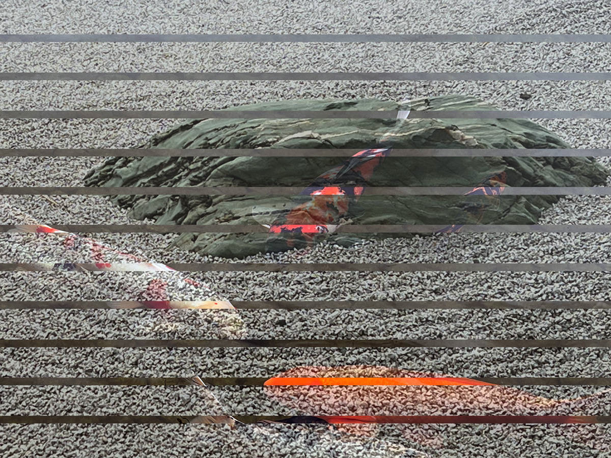 Koi 2