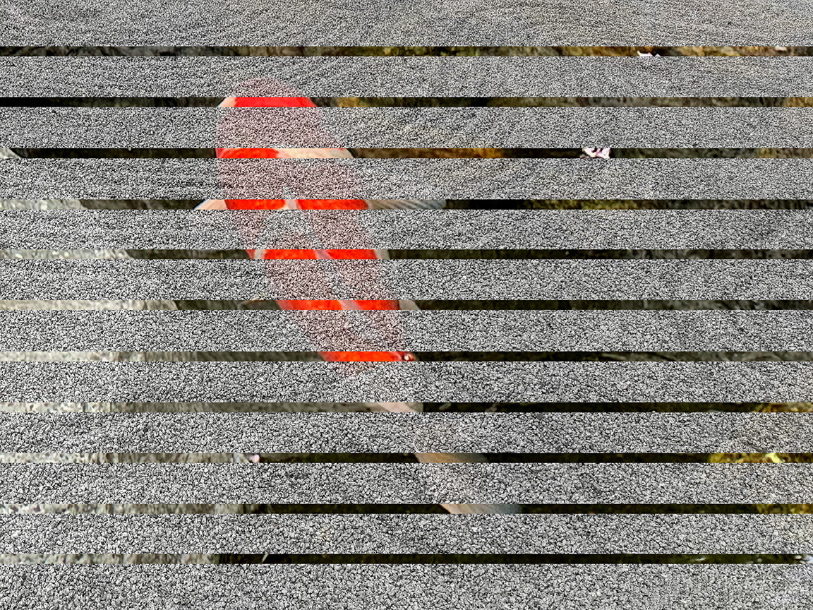 Koi 15