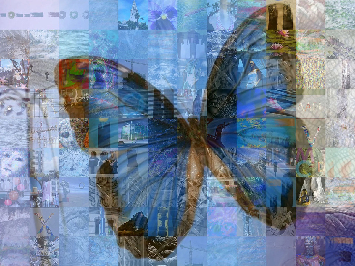 Costa Rica Butterfly on Costa Rican 50 mil currency