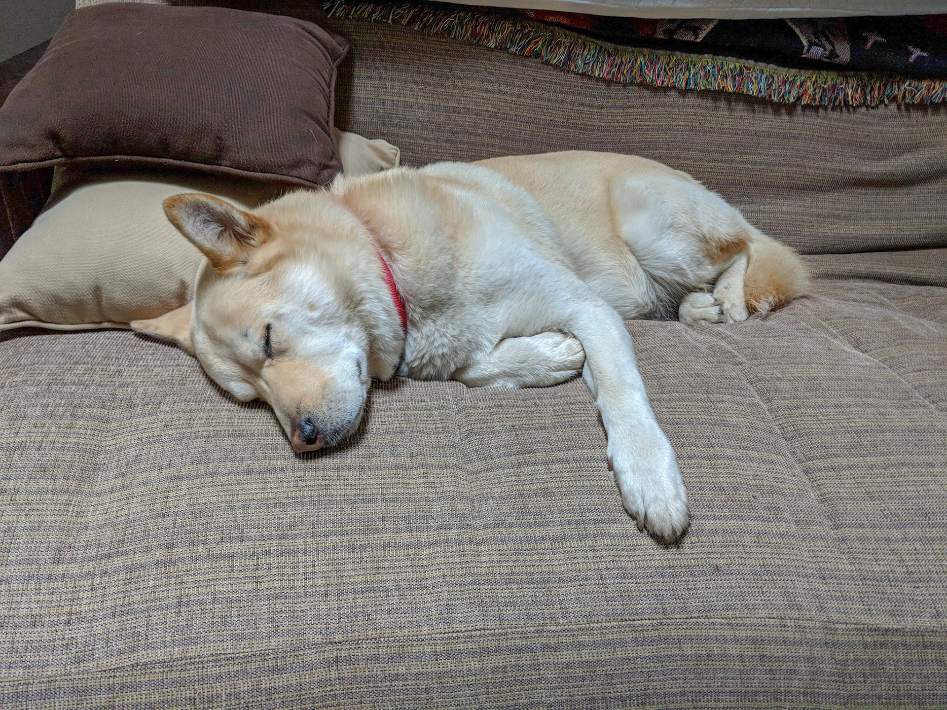 Maker:S,Date:2017-12-16,Ver:6,Lens:Kan03,Act:Lar02,E-Y