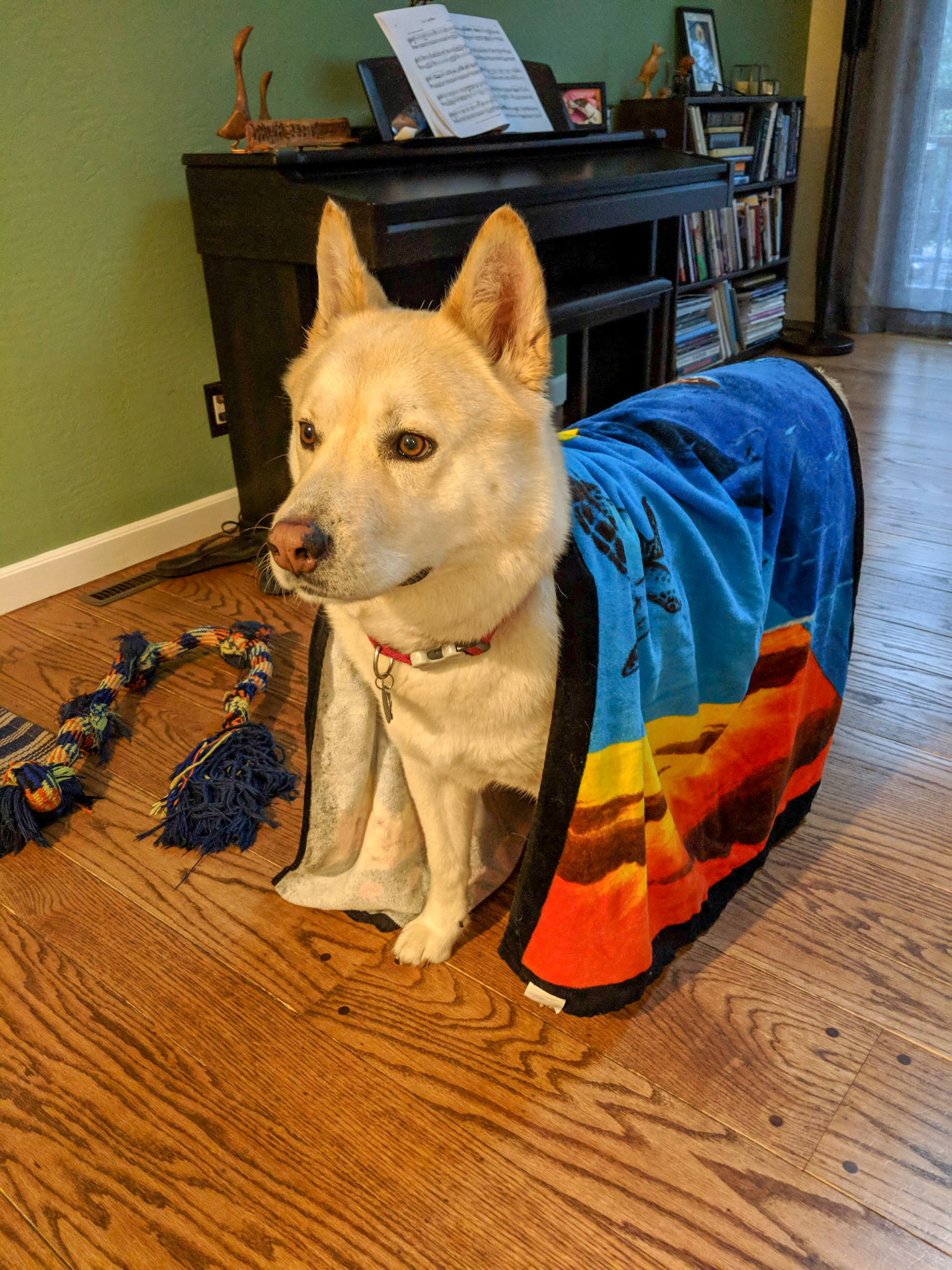 Maker:S,Date:2017-12-16,Ver:6,Lens:Kan03,Act:Lar02,E-Y