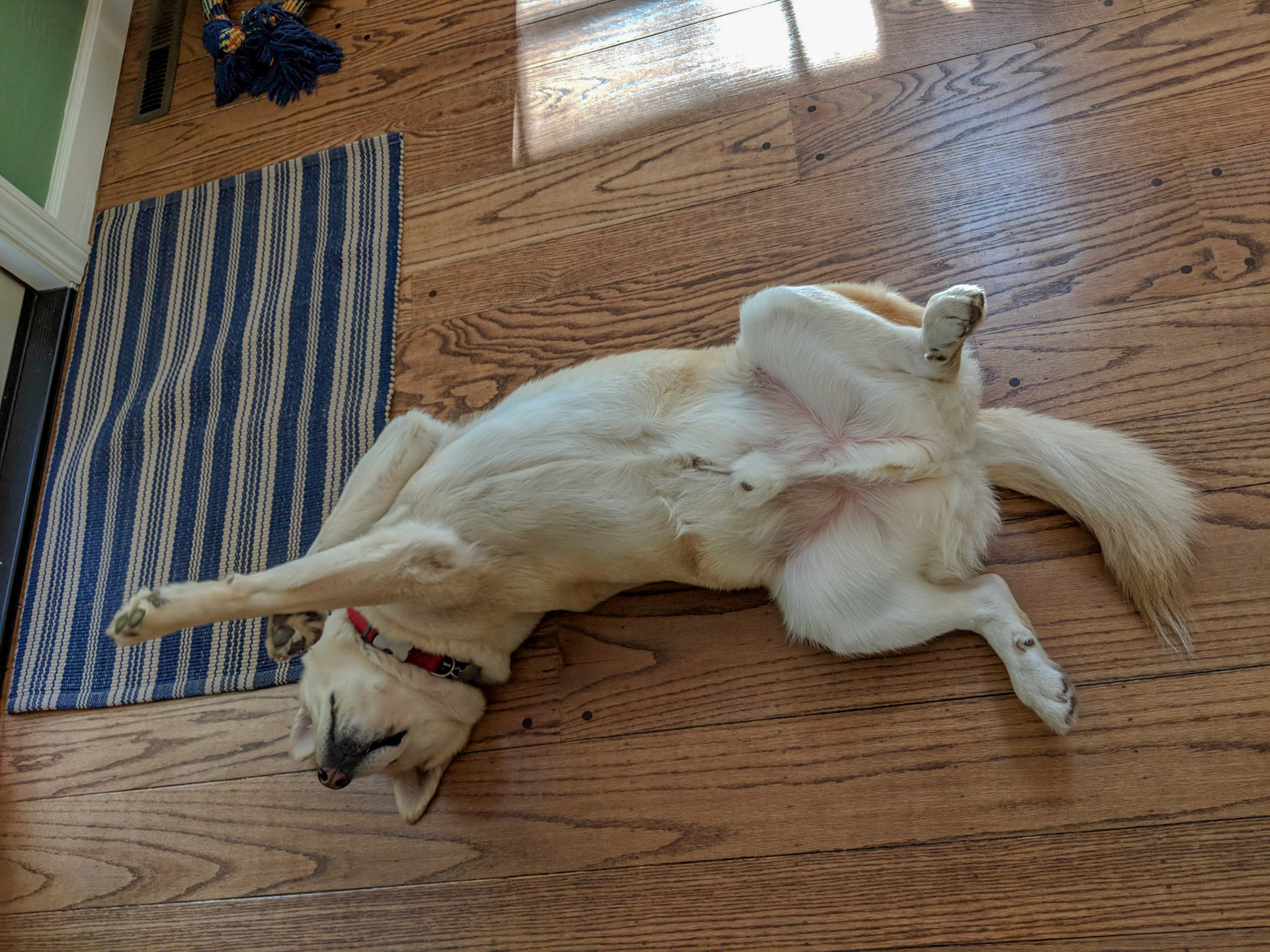 Maker:S,Date:2017-12-16,Ver:6,Lens:Kan03,Act:Lar02,E-Y