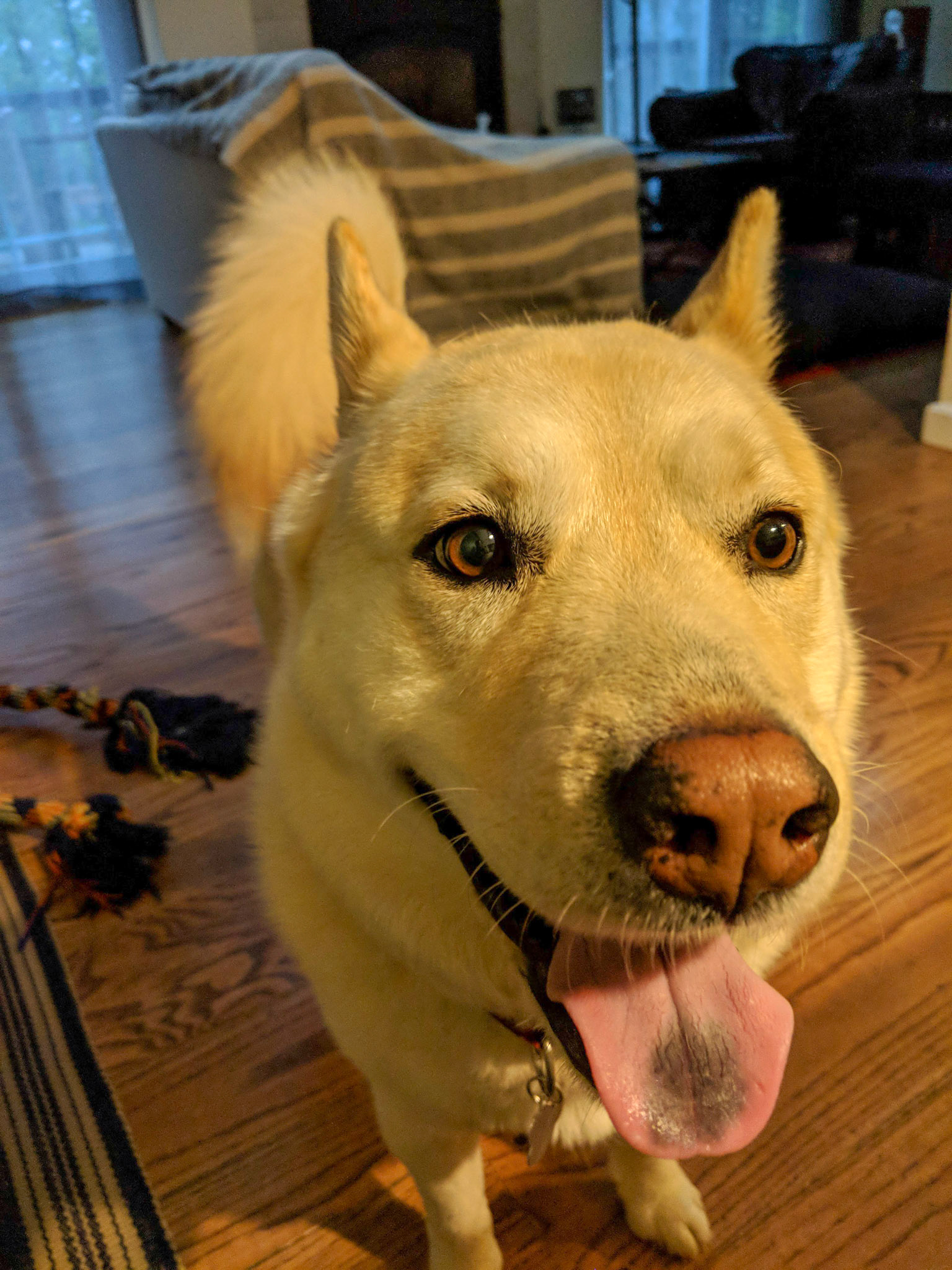 Maker:S,Date:2017-12-16,Ver:6,Lens:Kan03,Act:Lar02,E-Y