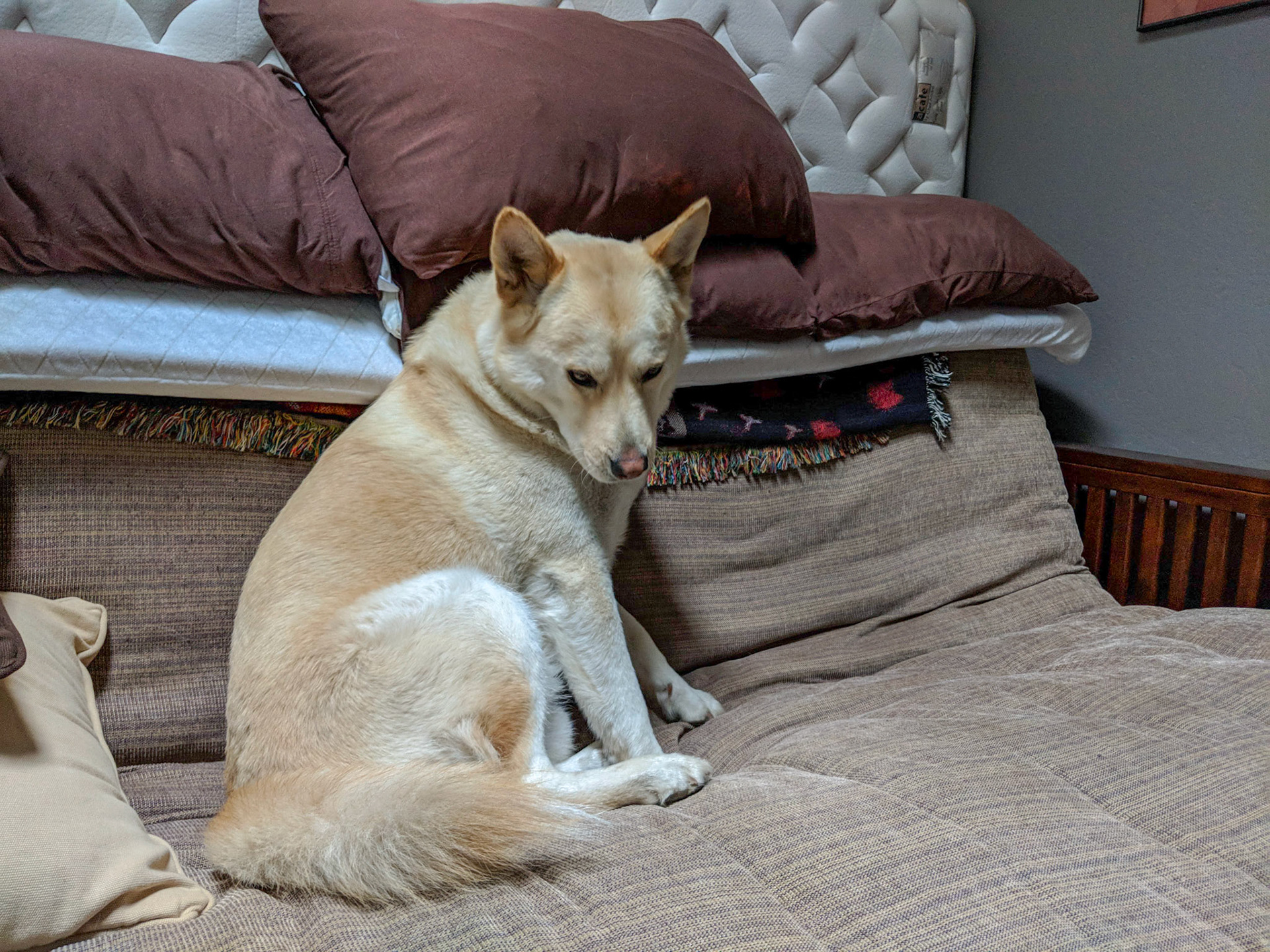 Maker:S,Date:2017-12-16,Ver:6,Lens:Kan03,Act:Lar02,E-Y