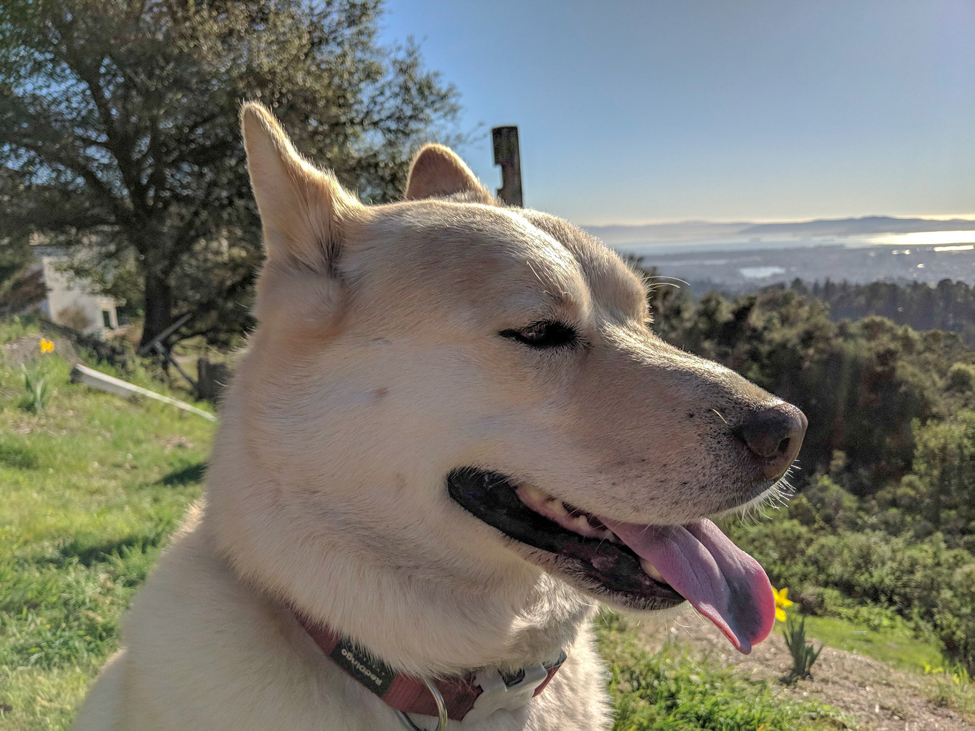 Maker:S,Date:2017-12-16,Ver:6,Lens:Kan03,Act:Lar02,E-Y