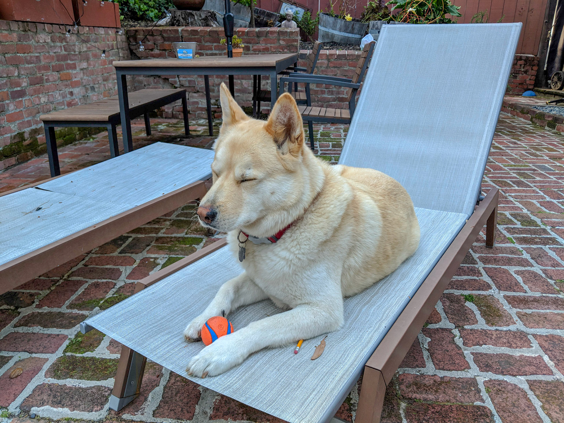 Maker:S,Date:2017-12-16,Ver:6,Lens:Kan03,Act:Lar02,E-Y