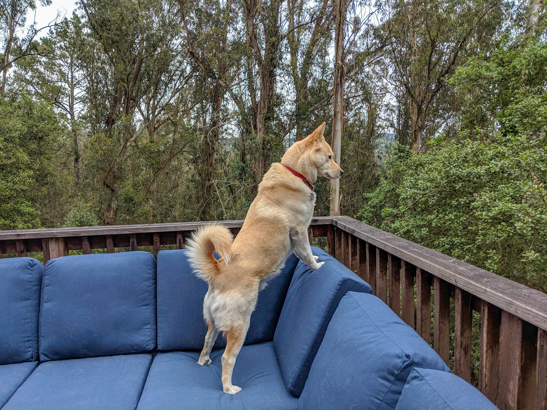 Maker:S,Date:2017-12-16,Ver:6,Lens:Kan03,Act:Lar02,E-Y