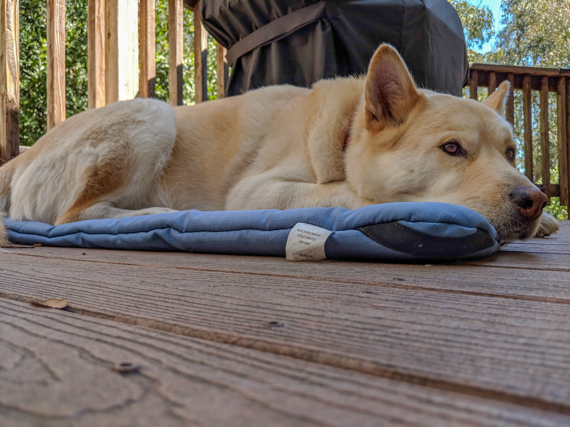 Maker:S,Date:2017-12-16,Ver:6,Lens:Kan03,Act:Lar02,E-Y