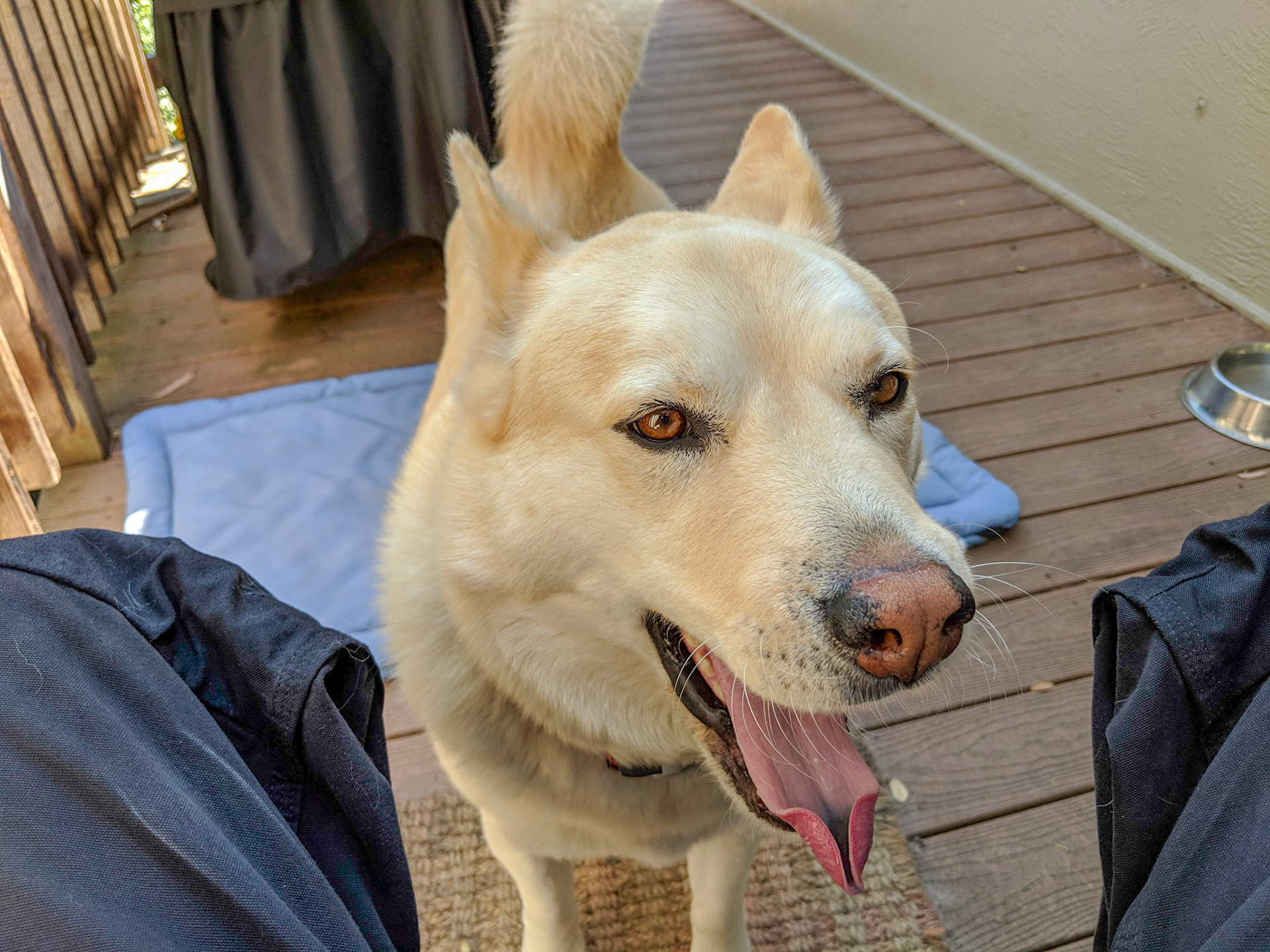 Maker:S,Date:2017-12-16,Ver:6,Lens:Kan03,Act:Lar02,E-Y