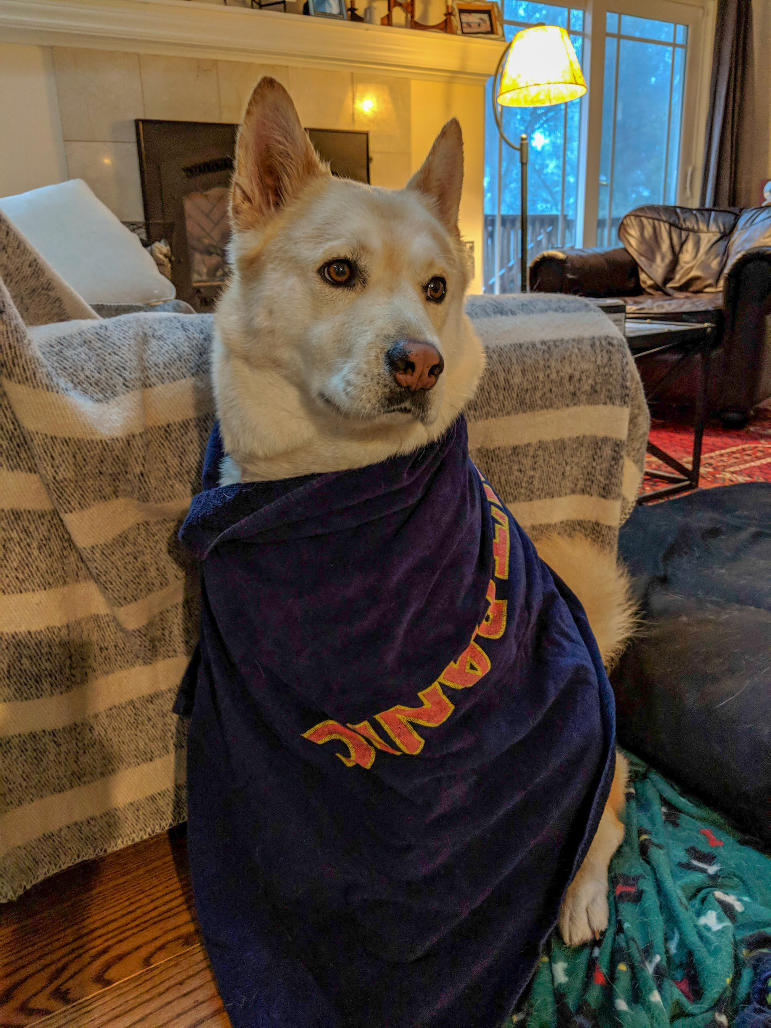 Maker:S,Date:2017-12-16,Ver:6,Lens:Kan03,Act:Lar02,E-Y