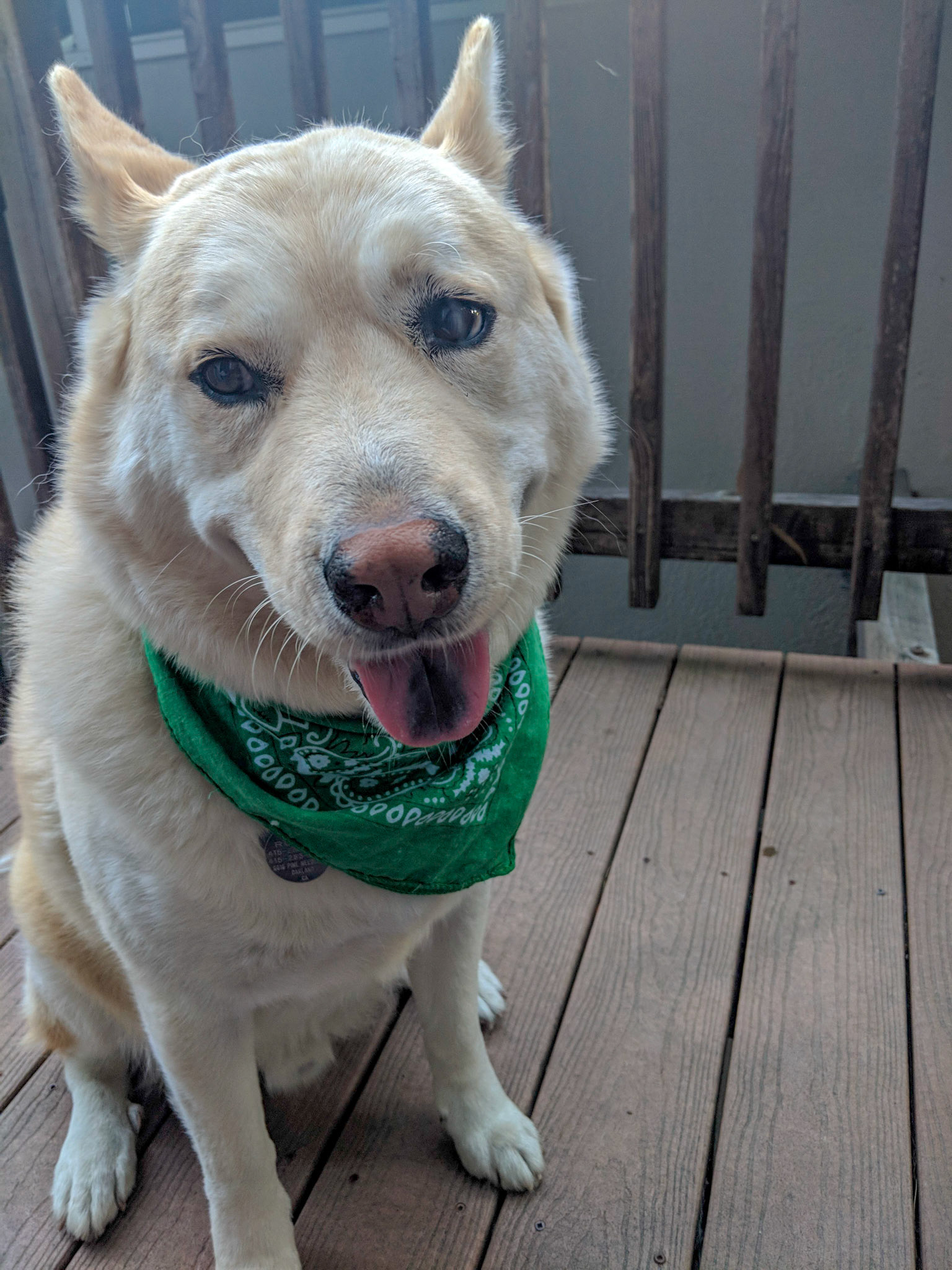 Maker:S,Date:2017-12-16,Ver:6,Lens:Kan03,Act:Lar02,E-Y