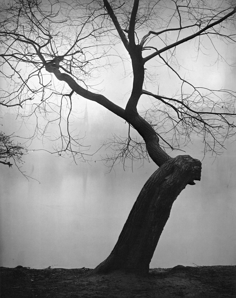 Josef Sudek