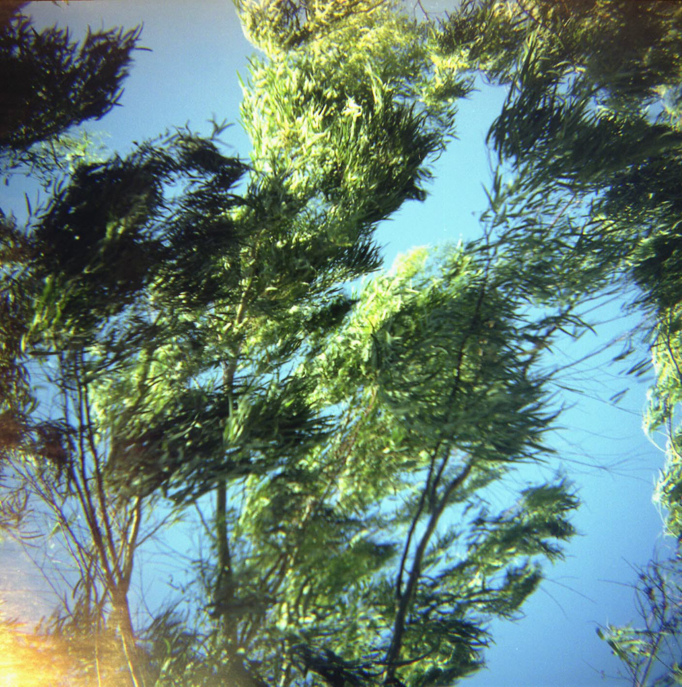 Τασια Βουτηροπούλου