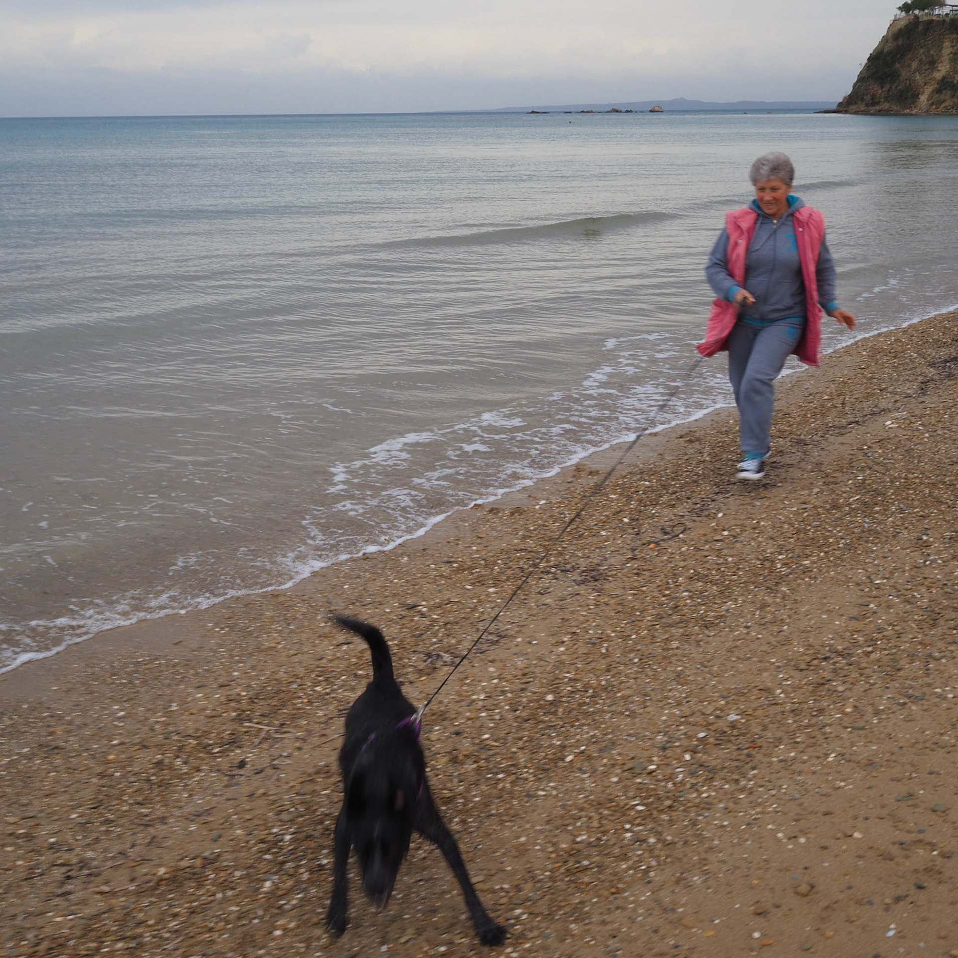 DIMITRI SKALISTIRISS