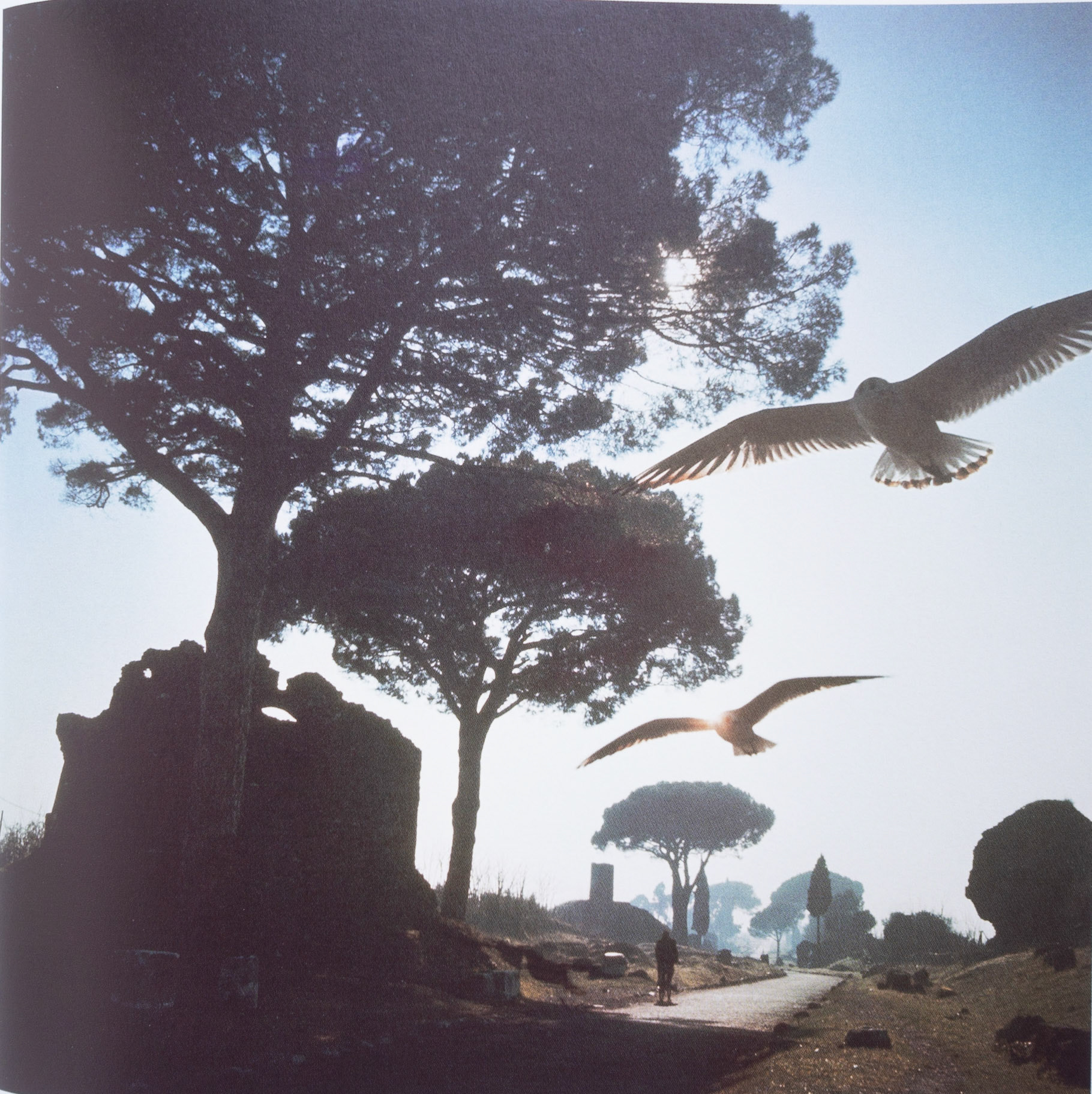 Appia Antica