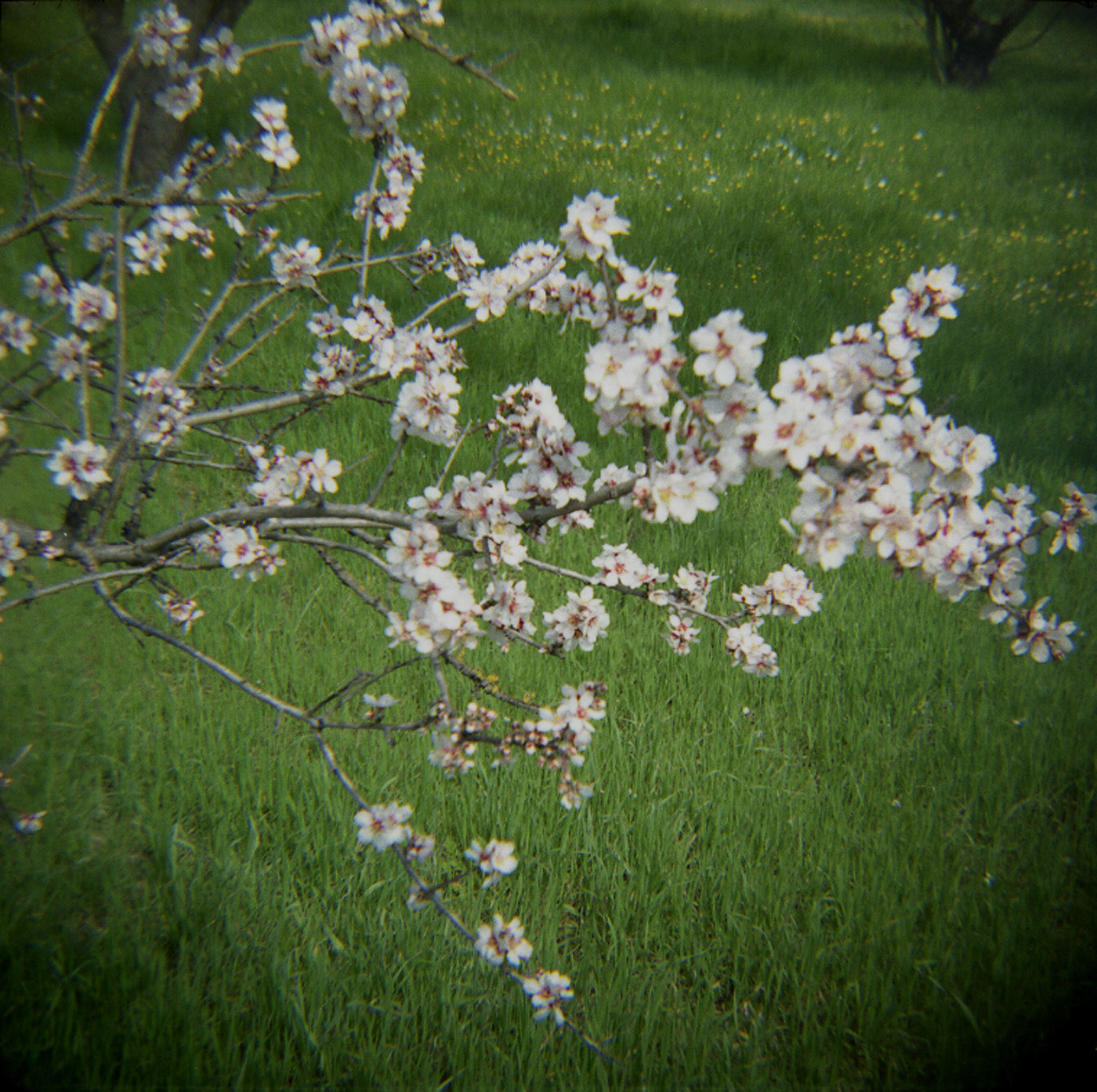 Τασια Βουτηροπούλου