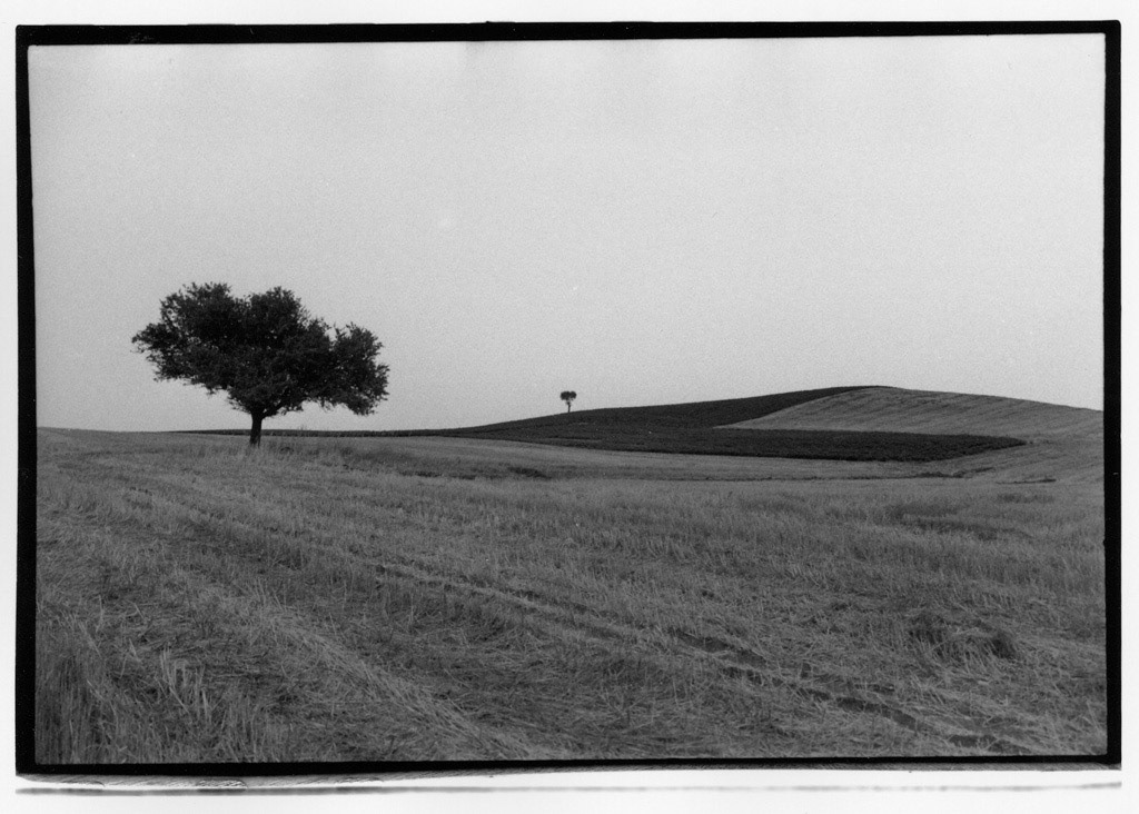 Χρήστος Κοψαχείλης