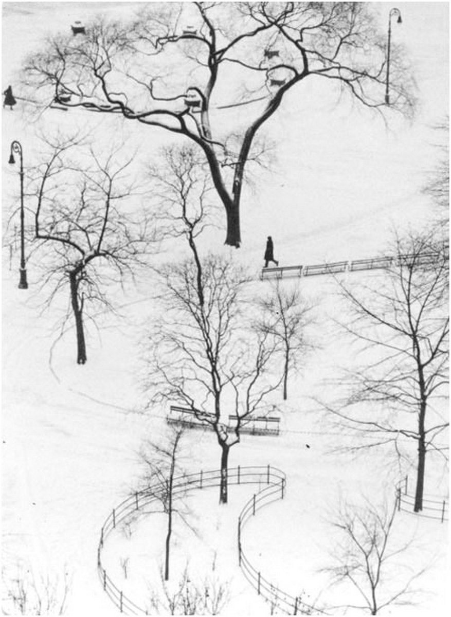 Washington square, 1954